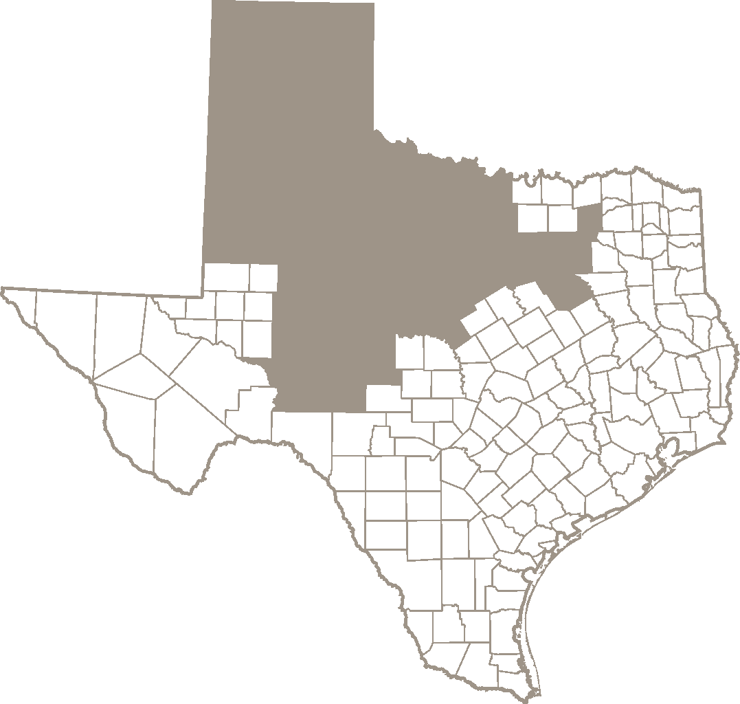 Texas Districts